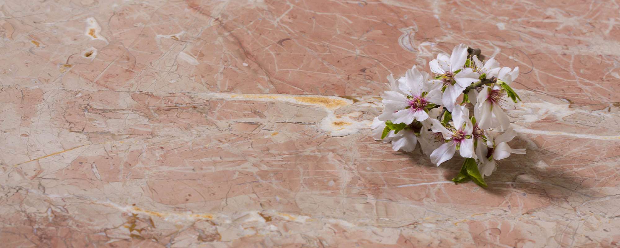 Rojo Coralito Marble / Coralito Marble